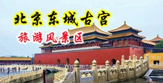 肛交灌肠黄网中国北京-东城古宫旅游风景区